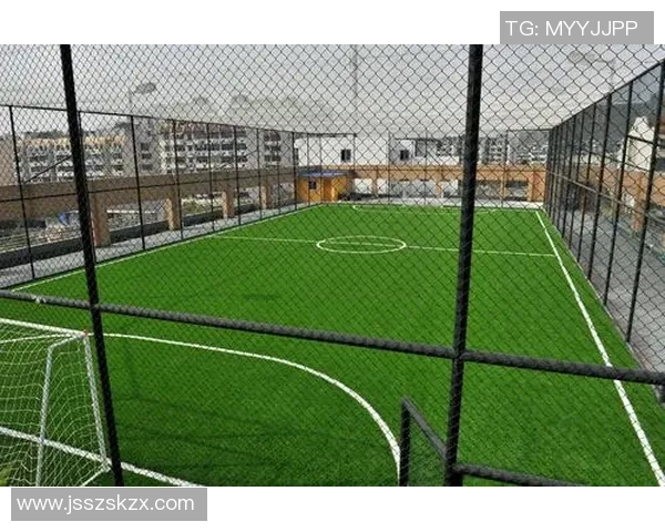 杭州极限运动队整体表现分析及其在赛事中的优势与不足探讨