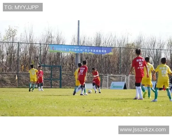 华火足球：点燃激情与梦想的绿茵场传奇之旅